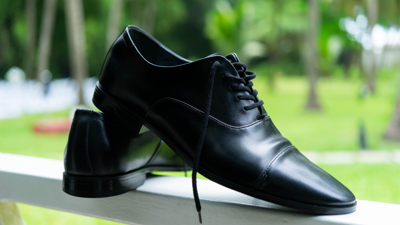 Derby – Linh hoạt và dễ sử dụng
